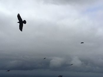 Low angle view of kite flying against cloudy sky