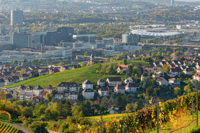 High angle view of trees and buildings in city