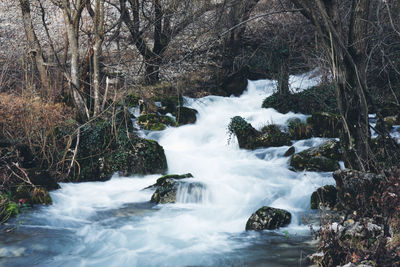 Scenic view of waterfall in forest