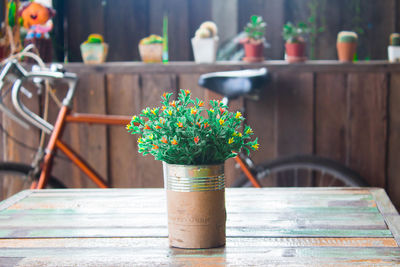 Close-up of potted plant on table