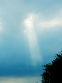 Low angle view of tree against sky