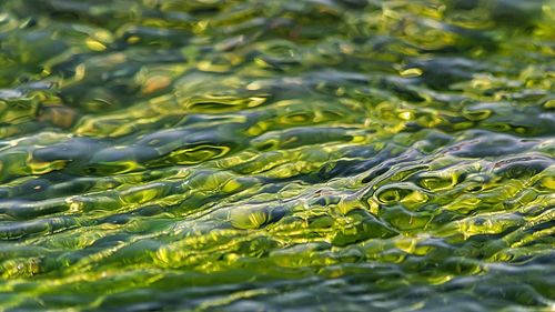 Full frame shot of water in lake