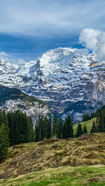 mountain