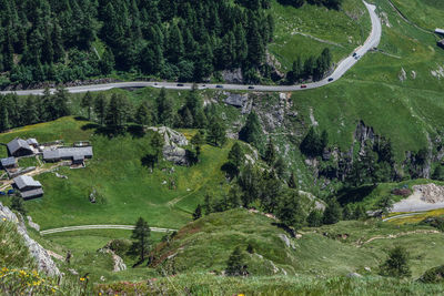 High angle view of trees on landscape