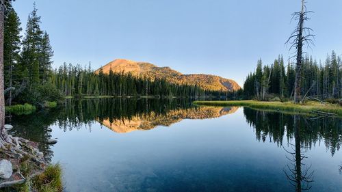 Reflection of trees in lake against sky