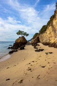 Scenic view of beach against sky