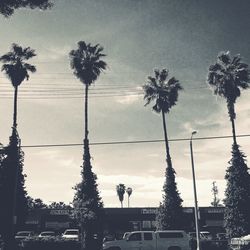 Low angle view of silhouette trees against sky