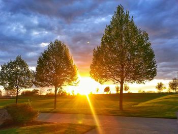 Silhouette trees against sky during sunset