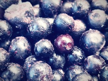 Full frame shot of blueberries