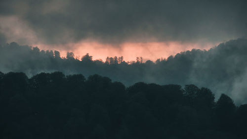 Silhouette trees in forest against sky during sunset