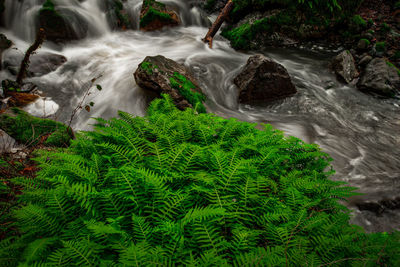 Rocks in river