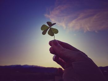 Close-up of hand holding plant against sky