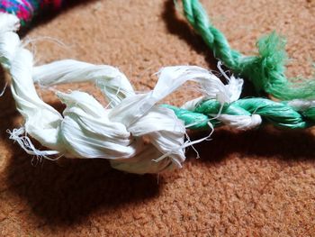 Close-up of ropes