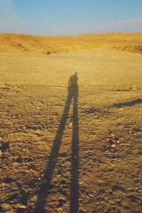 Shadow of man on sand dune in desert