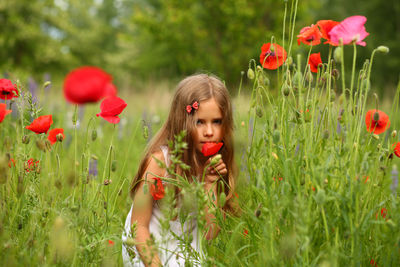 Portrait of a cute 6 year old girl wearing a white summer cotton dress, posing in the poppy field