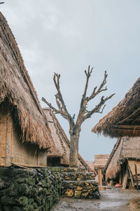 Bare tree outside huts against cloudy sky