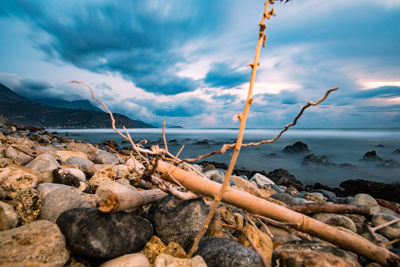 Close-up of pebbles on beach against sky