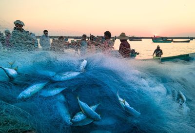 People in sea against clear sky during sunset