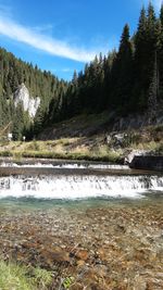 Scenic view of lake in forest against sky