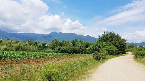 Scenic view of road amidst field against sky