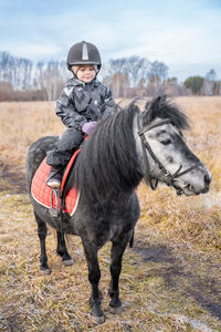 Horses on field