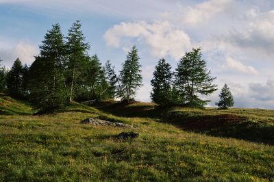 Scenic view of grassy field against cloudy sky