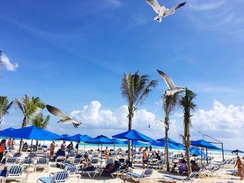 People at beach against blue sky