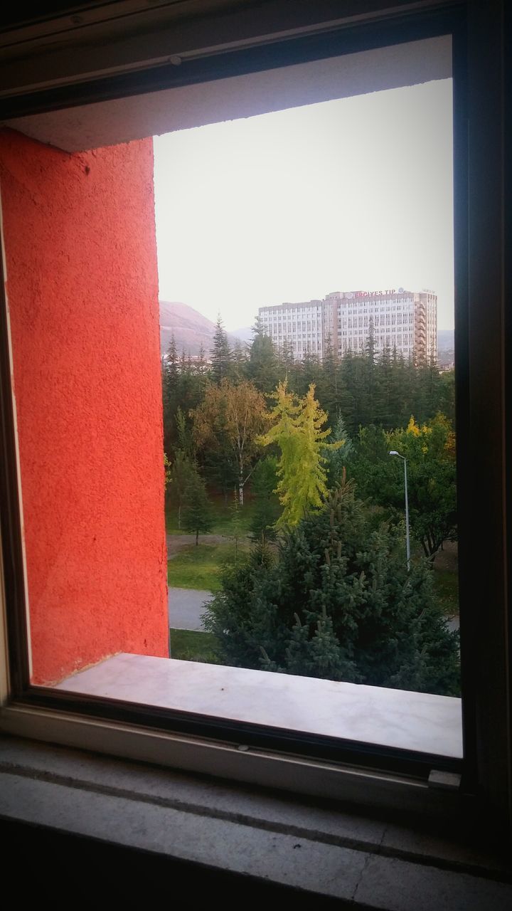 REFLECTION OF TREES ON GLASS WINDOW