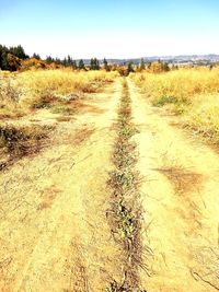 Scenic view of dirt road on field against sky