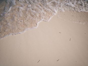 Scenic view of beach