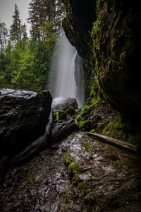 Scenic view of waterfall in forest