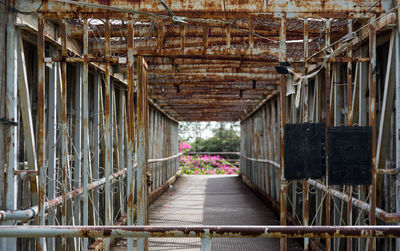 Footbridge amidst plants