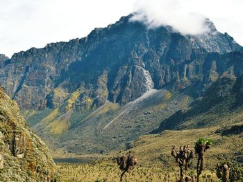 Scenic view of mount baker in the rwenzori mountains, uganda