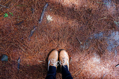 Low section of person standing on field during autumn