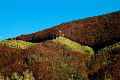 Scenic view of landscape against clear blue sky