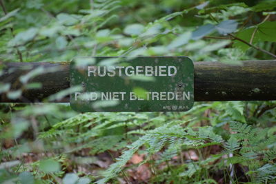 Close-up of sign board on tree