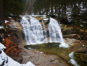 Scenic view of waterfall in forest