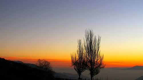 Silhouette bare tree against clear sky during sunset