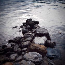 Pebbles in shallow water