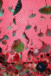 High angle view of multi colored umbrellas on plant