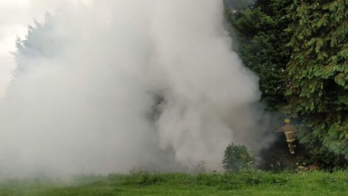 Smoke emitting from land