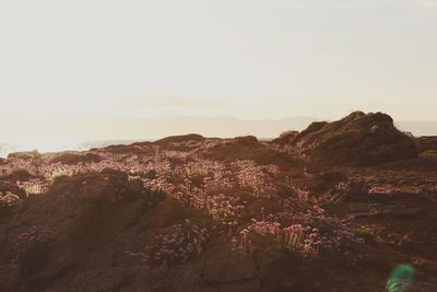 Panoramic view of landscape against sky during sunset