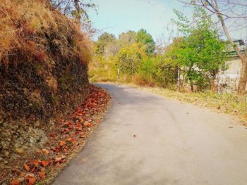 Road amidst trees against sky during autumn