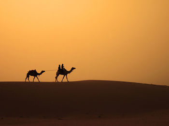 Silhouette people riding horse on desert against orange sky