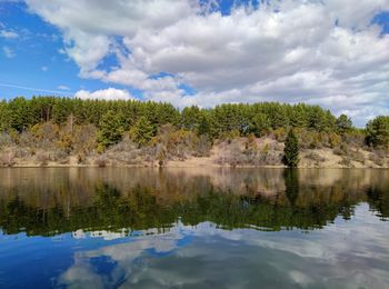 Trees on a slope near a pond are reflected in water against a blue sky with clouds on a sunny day