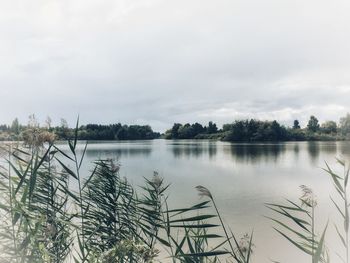 Scenic view of lake against sky