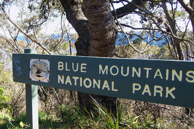 Close-up of information sign on tree trunk