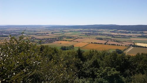 Scenic view of field against clear sky