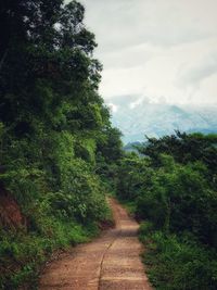 Dirt road in forest against sky