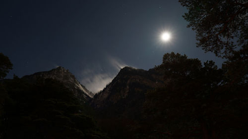 Low angle view of trees against sky at night